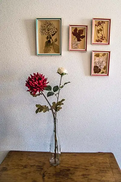 Habitaciones · 24