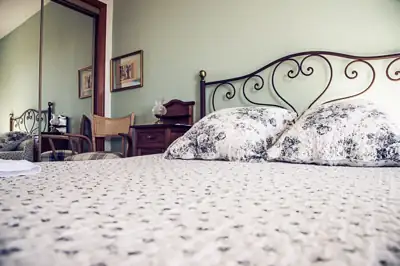 Habitaciones · 31